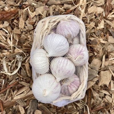 Knoflook Solo Mandje