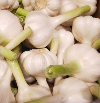 Knoflook Wit Netje