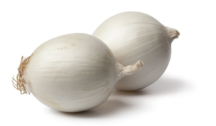 Uien Wit