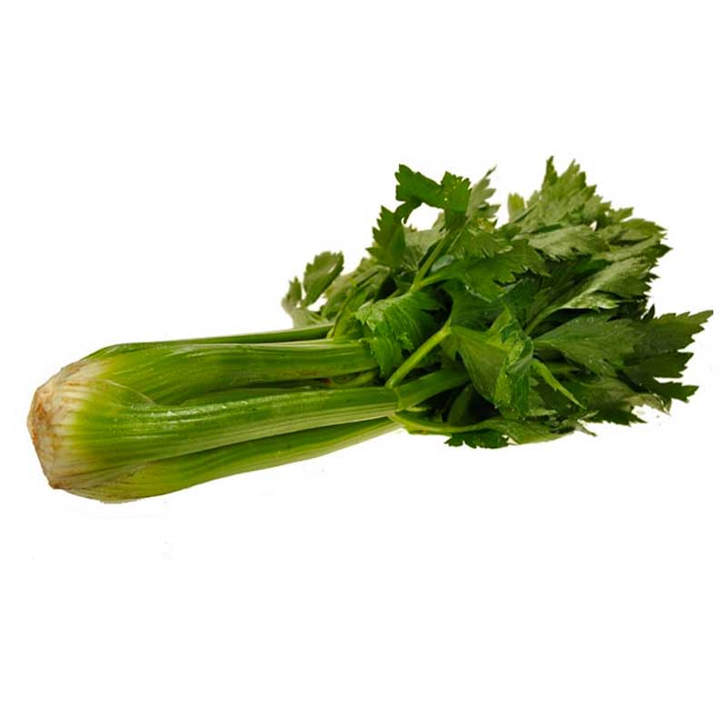 Bleekselderij