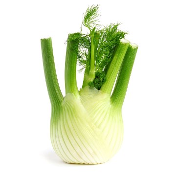 Venkel