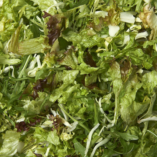 Gesneden Slamix Rucola Zakje