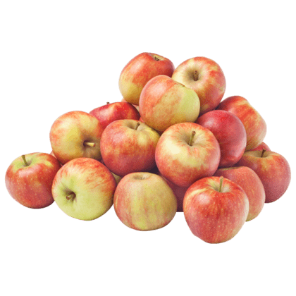 Appels Elstar
