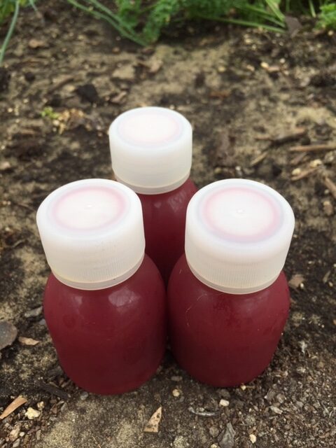 Shot Granaatappel/Acerola/Aardbei 60 ml