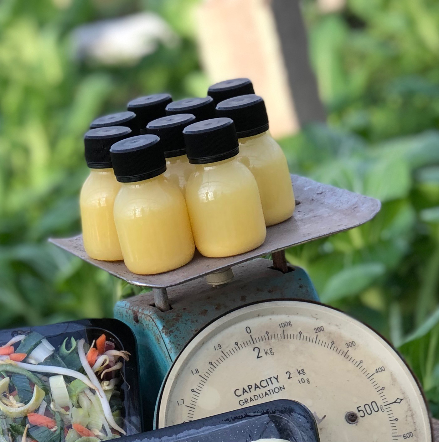 Shot Gember/Appel/Citroen 60 ml