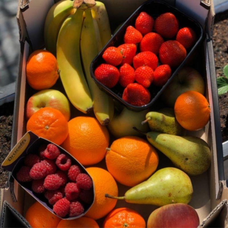 Fruit Vitaliteitbox