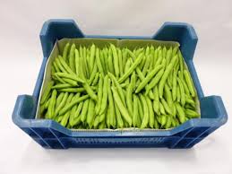 Bonen Sperzie Veld Holland 500 gram