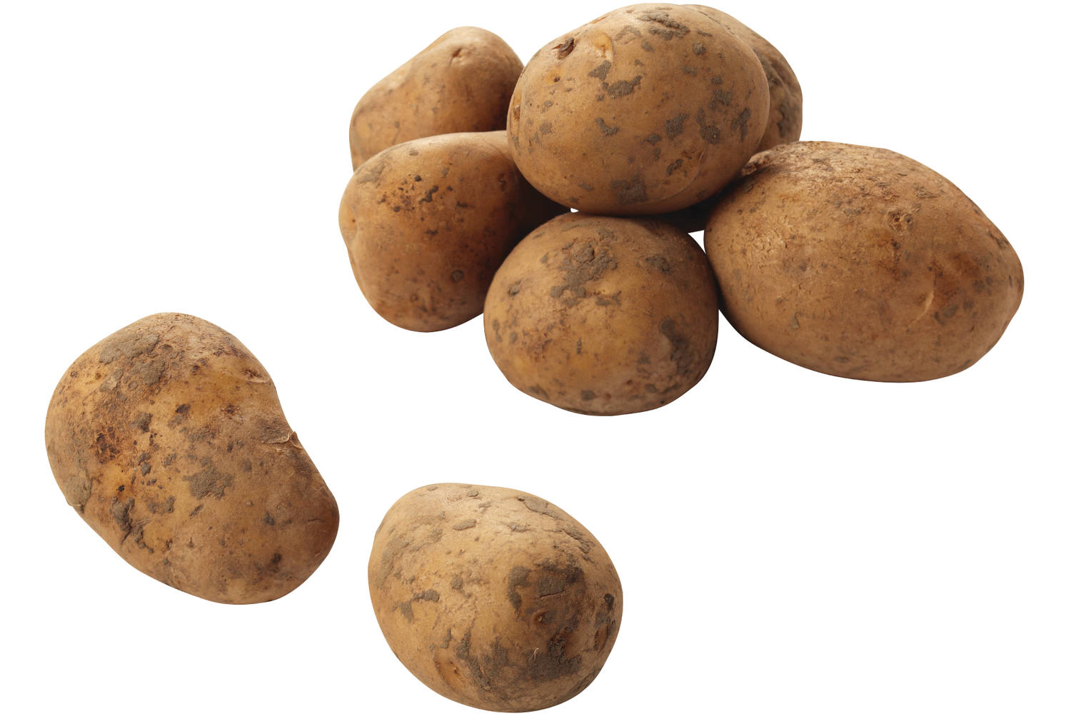 Aardappelen Nicola 2,5 kg Zak