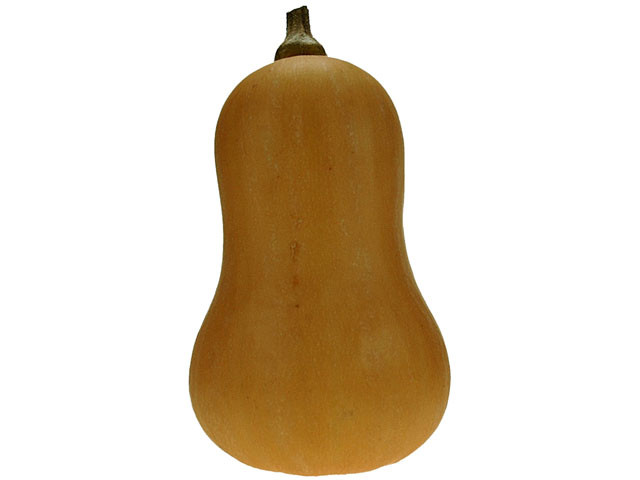 Pompoen Fles