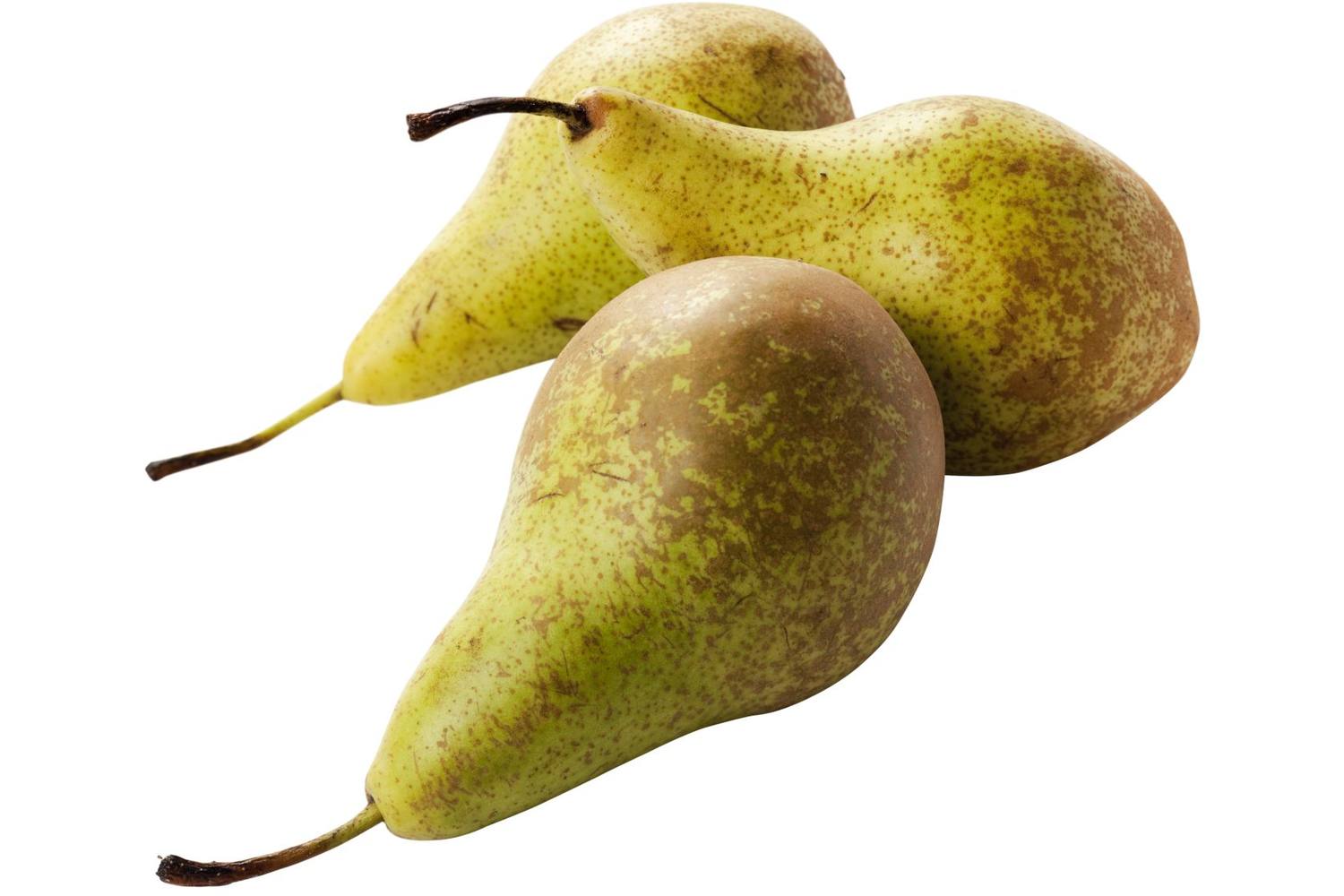Peren Conference