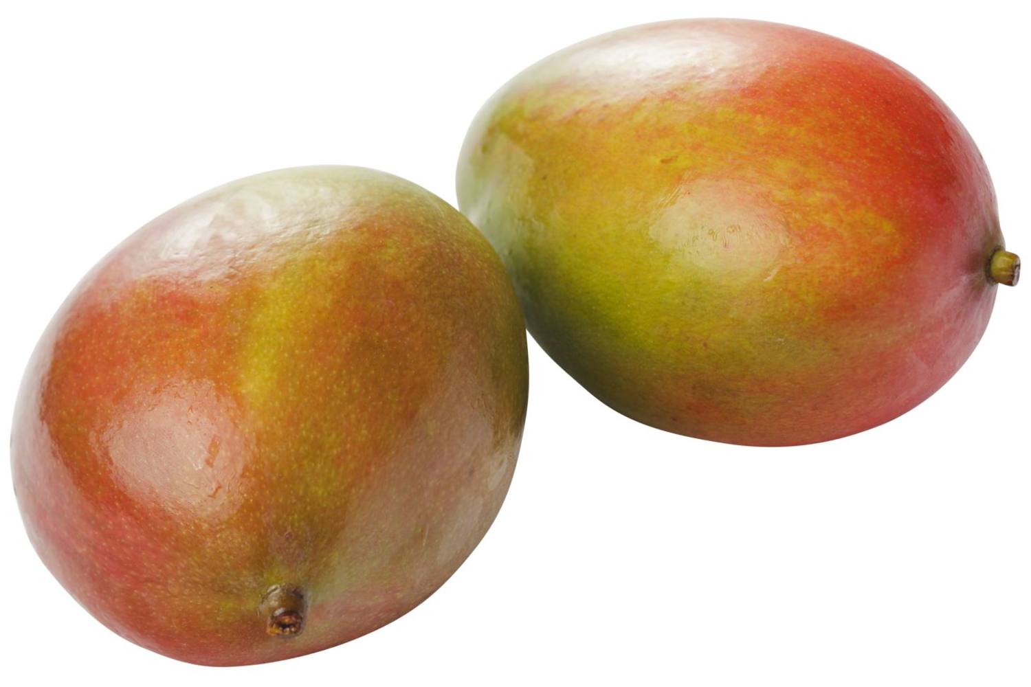 Mango RTE Avojoy