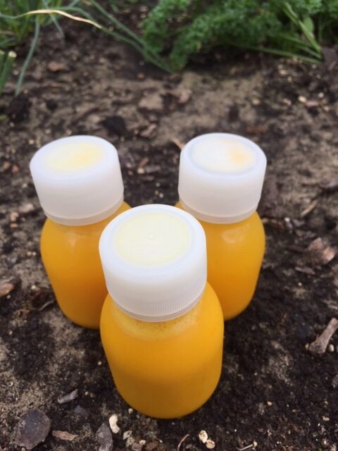 Shot Kurkuma/Ananas/Peper 60 ml