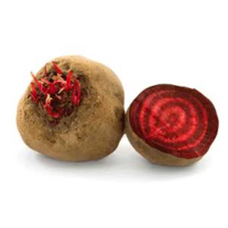 Bieten Rood