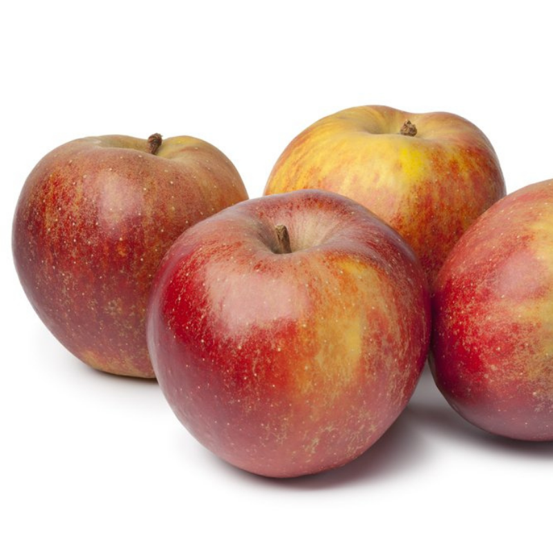Appels Goudreinet