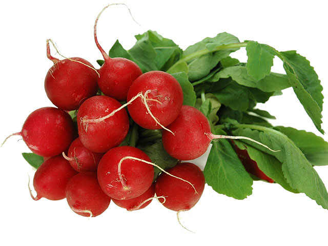 Radijs Rood