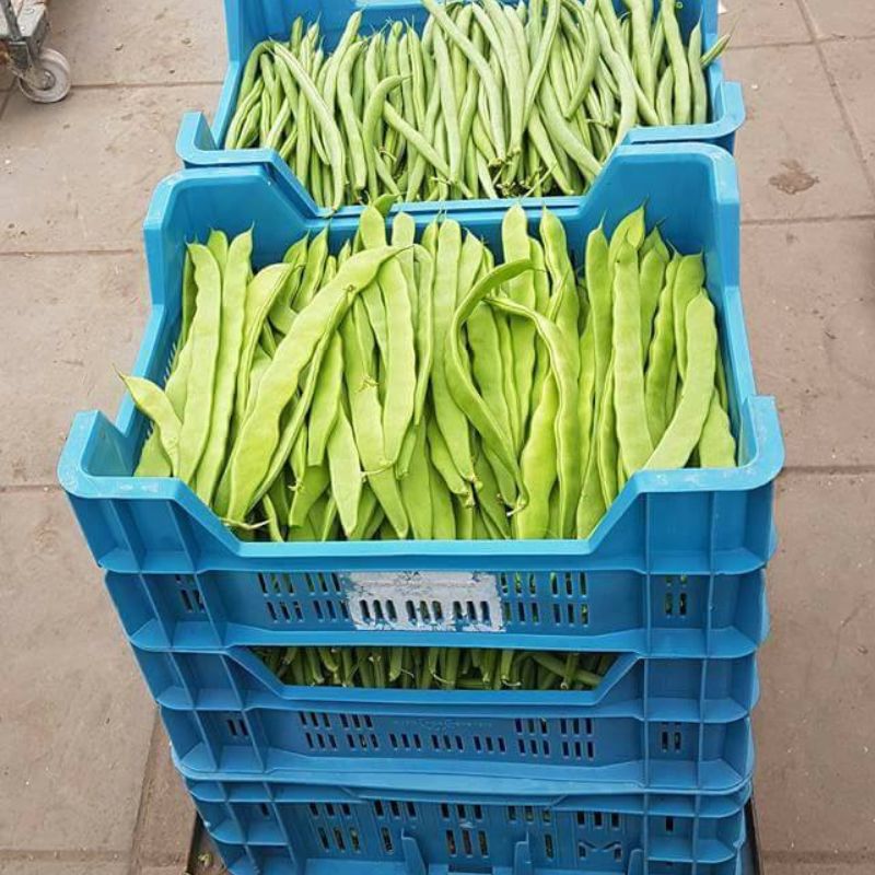 Bonen Snij Kas 500 gram